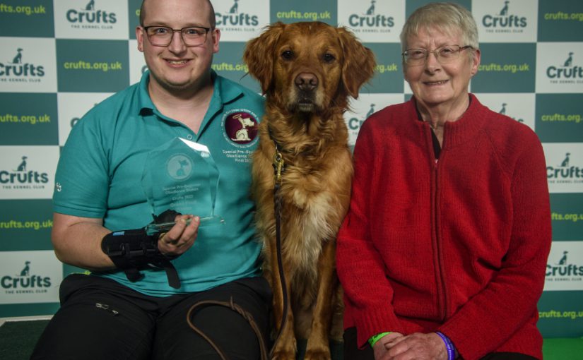 GOLDEN RETRIEVER FROM NOTTINGHAM CROWNED WINNER AT CRUFTS