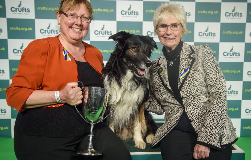WELSH OWNER AND DOG BECOME CRUFTS OBEDIENCE CHAMPIONS