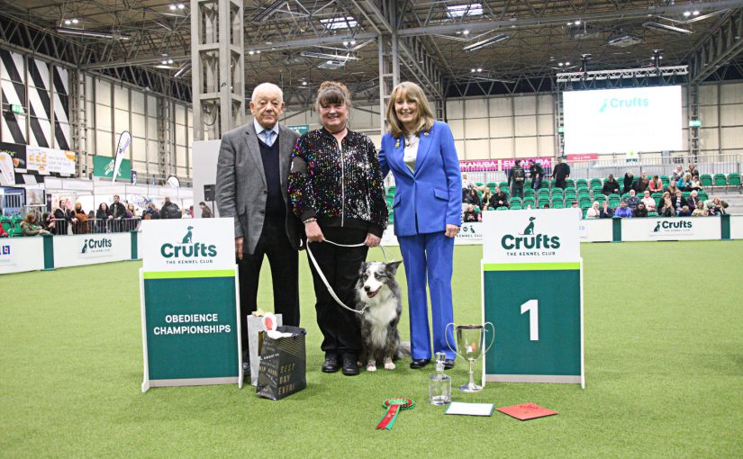 WIRRAL DOG AND OWNER BECOME CRUFTS OBEDIENCE CHAMPIONS